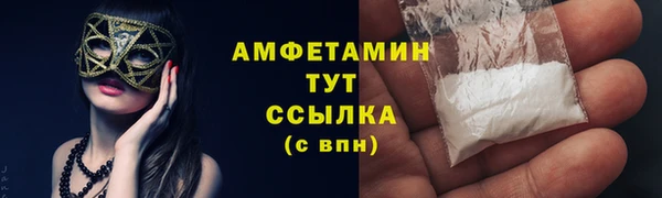 ГАЛЛЮЦИНОГЕННЫЕ ГРИБЫ Верея