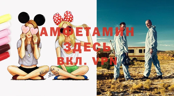 ГАЛЛЮЦИНОГЕННЫЕ ГРИБЫ Верея