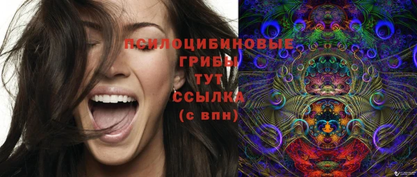 ГАЛЛЮЦИНОГЕННЫЕ ГРИБЫ Верея