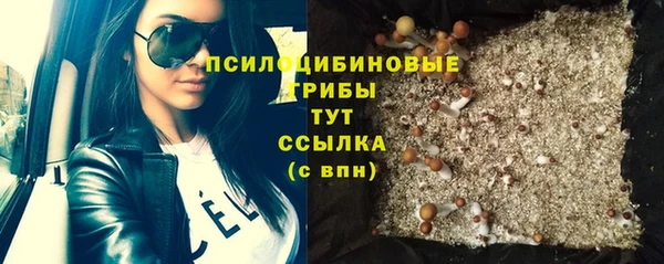 ГАЛЛЮЦИНОГЕННЫЕ ГРИБЫ Верея