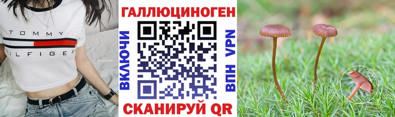 Галлюциногенные грибы GOLDEN TEACHER  Купить  Новозыбков 