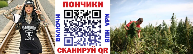 Бошки Шишки Amnesia Новозыбков