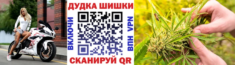 Шишки марихуана THC 21%  Купить  Новозыбков 